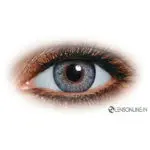 FRESHLOOK DAILIES GRAY (10 LENSES)